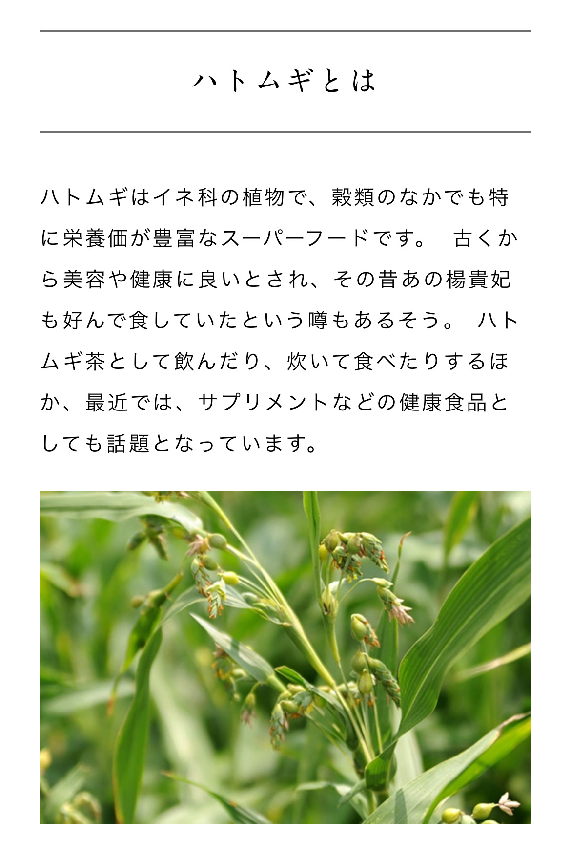 ハトムギ化粧水(ナチュリエ スキンコンディショナー R )/ナチュリエ/化粧水を使ったクチコミ（2枚目）