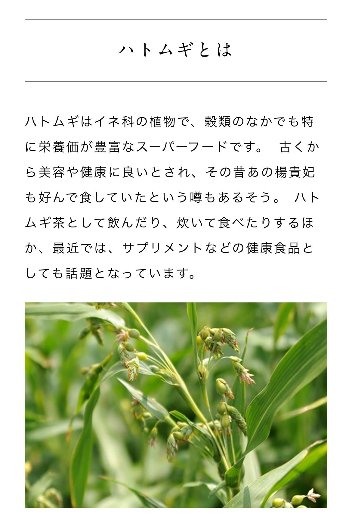 ããã ã®åç²§æ°Ž(ããã¥ãªãš ã¹ãã³ã³ã³ãã£ã·ã§ã㌠R )/ããã¥ãªãš/åç²§æ°Žã䜿ã£ãã¯ãã³ãïŒ2æç®ïŒ