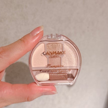 プランぷくコーデアイズ/キャンメイク/パウダーアイシャドウを使ったクチコミ(1枚目)