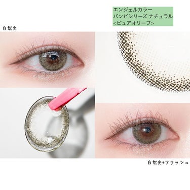 バンビシリーズ ワンデー ナチュラル Pure Olive/AngelColor/ワンデー（１DAY）カラコンを使ったクチコミ（3枚目）