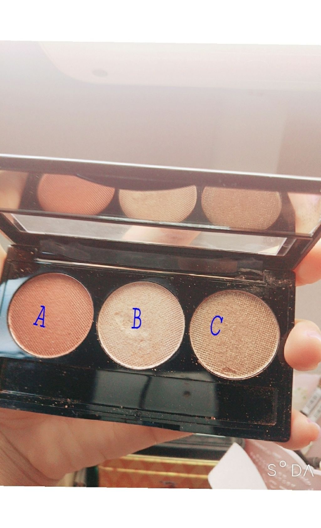 パウダーチップ アイカラー/Visée/アイシャドウパレットを使ったクチコミ（3枚目）