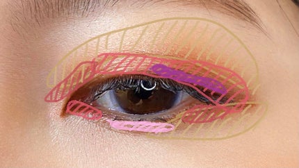 サンク クルール クチュール<バーズ オブ ア フェザー>/Dior/アイシャドウパレットを使ったクチコミ(2枚目)