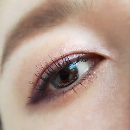 ニュアンス アイライナー 103 ダブグレー/SUQQU/リキッドアイライナーを使ったクチコミ(2枚目)