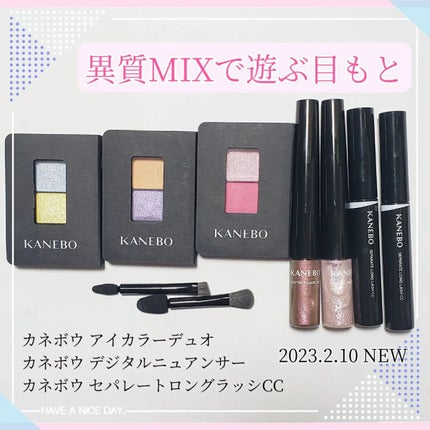 カネボウ アイカラーデュオ/KANEBO/アイシャドウパレットを使ったクチコミ(1枚目)