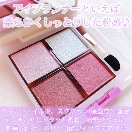 アイプランナーパレット 02 ニュースピリット(’23)/excel/アイシャドウパレットを使ったクチコミ(3枚目)