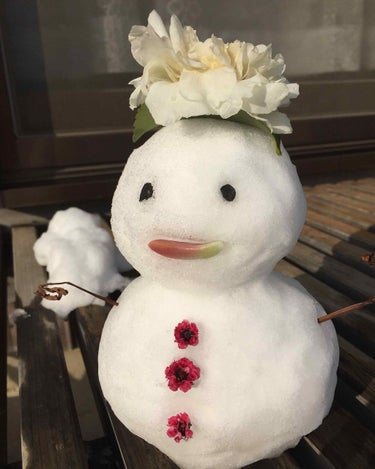 コスメぜんっぜん関係ありません🙇‍♀️


雪だるま⛄️作ってみました💕笑
なかなか上出来✨