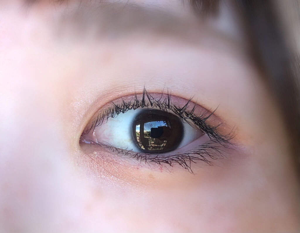 グロッシーリッチ アイズ N/Visée/アイシャドウパレットを使ったクチコミ（2枚目）