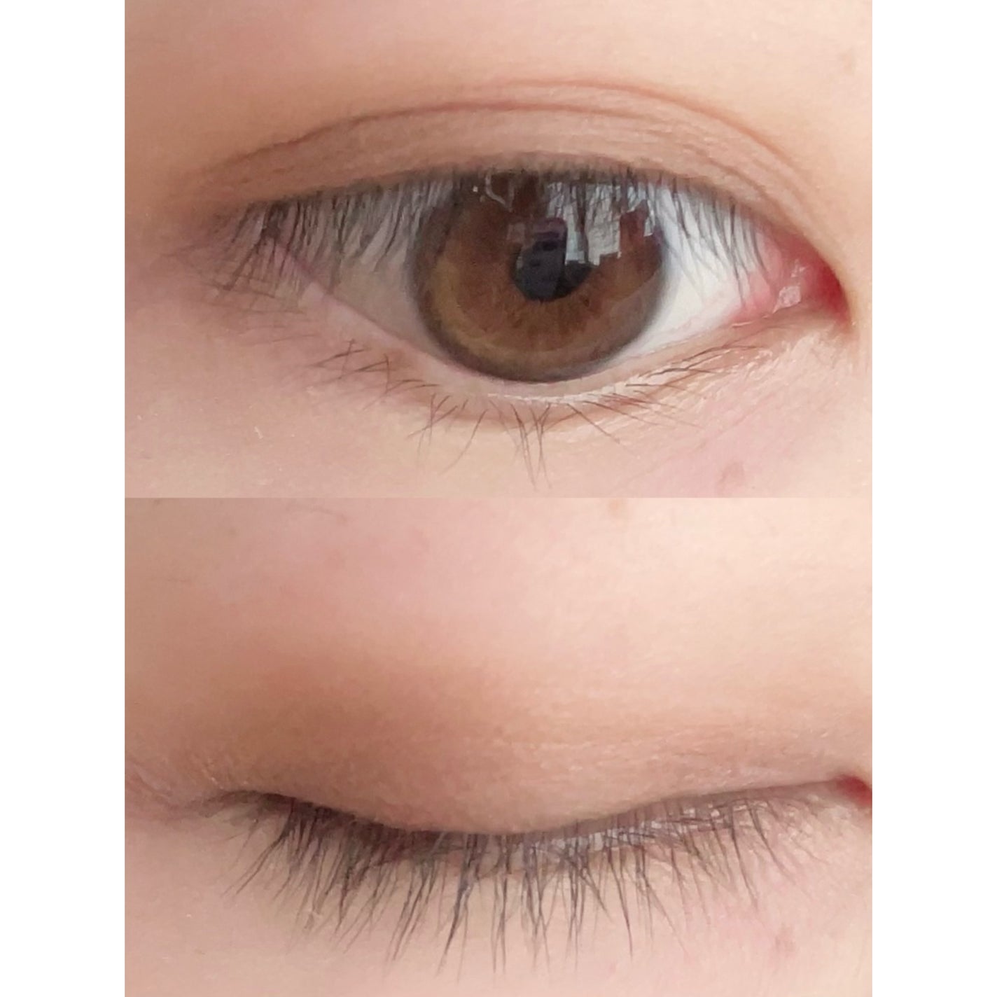 プロ アイ パレット/CLIO/アイシャドウパレットを使ったクチコミ(2枚目)