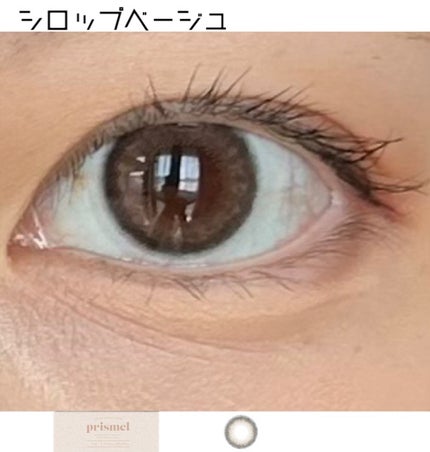 prismel 1day/Prismel/ワンデー(1DAY)カラコンを使ったクチコミ(1枚目)