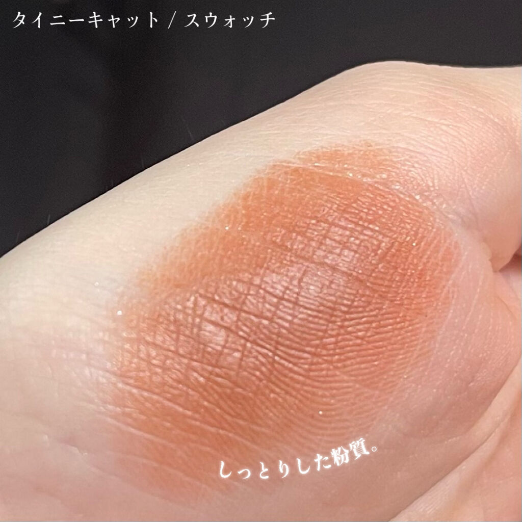 アイプランナー F07 タイニーキャット/excel/単色アイシャドウを使ったクチコミ（2枚目）