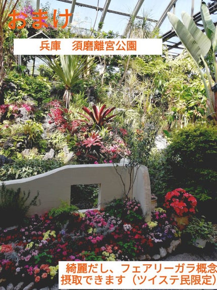 デザイニングチューブ#ヘアクリーム(モイスト)/ルシードエル/ヘアワックス・クリームを使ったクチコミ(3枚目)