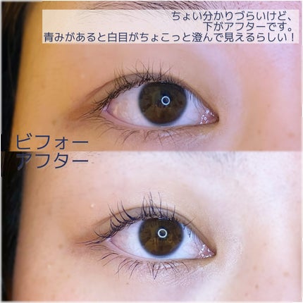 スカイハイ/MAYBELLINE NEW YORK/マスカラを使ったクチコミ(4枚目)