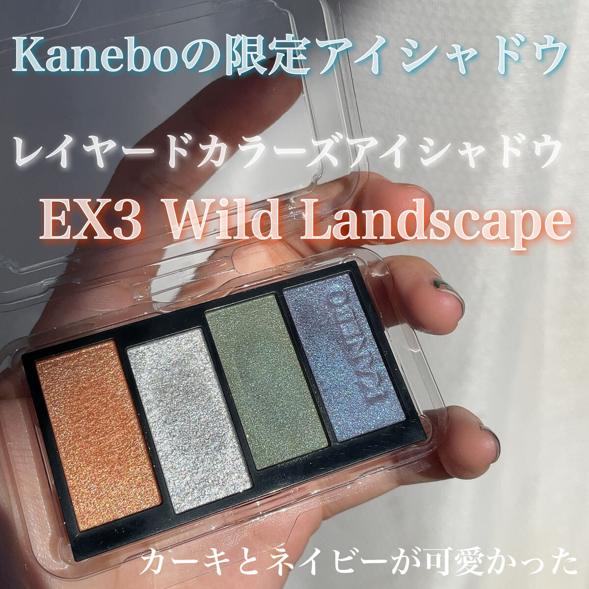 レイヤードカラーズアイシャドウ EX3 Wild Landscape（限定）/KANEBO/アイシャドウパレットを使ったクチコミ（1枚目）