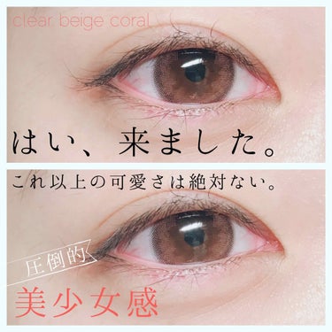 eye closet 1DAY（アイクローゼット ワンデー）/EYE CLOSET/ワンデー（１DAY）カラコンを使ったクチコミ（1枚目）