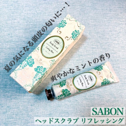 ヘッドスクラブ リフレッシング(ミント)/SABON/ヘッドスクラブを使ったクチコミ(1枚目)