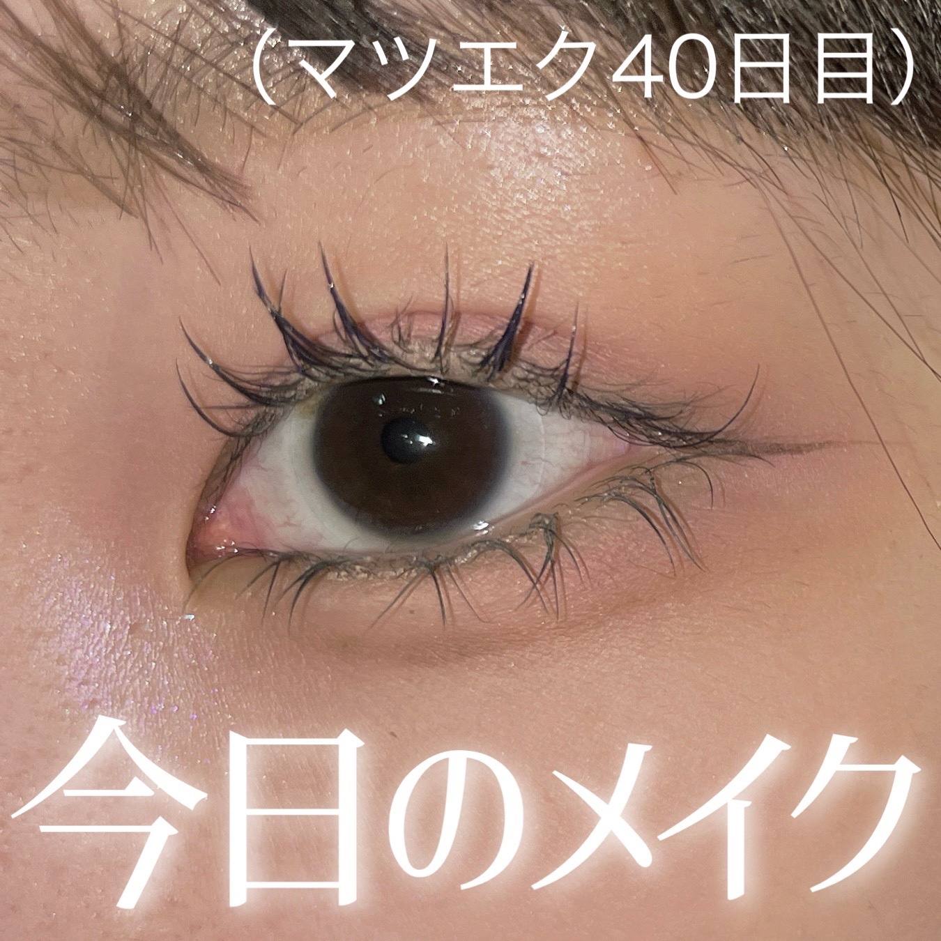 マジックティント/MAJOLICA MAJORCA/マスカラを使ったクチコミ（1枚目）