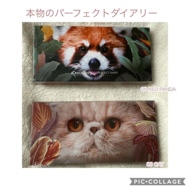 エクスプローラ12色 動物アイシャドウパレット RED PANDA/パーフェクトダイアリー/パウダーアイシャドウを使ったクチコミ（1枚目）