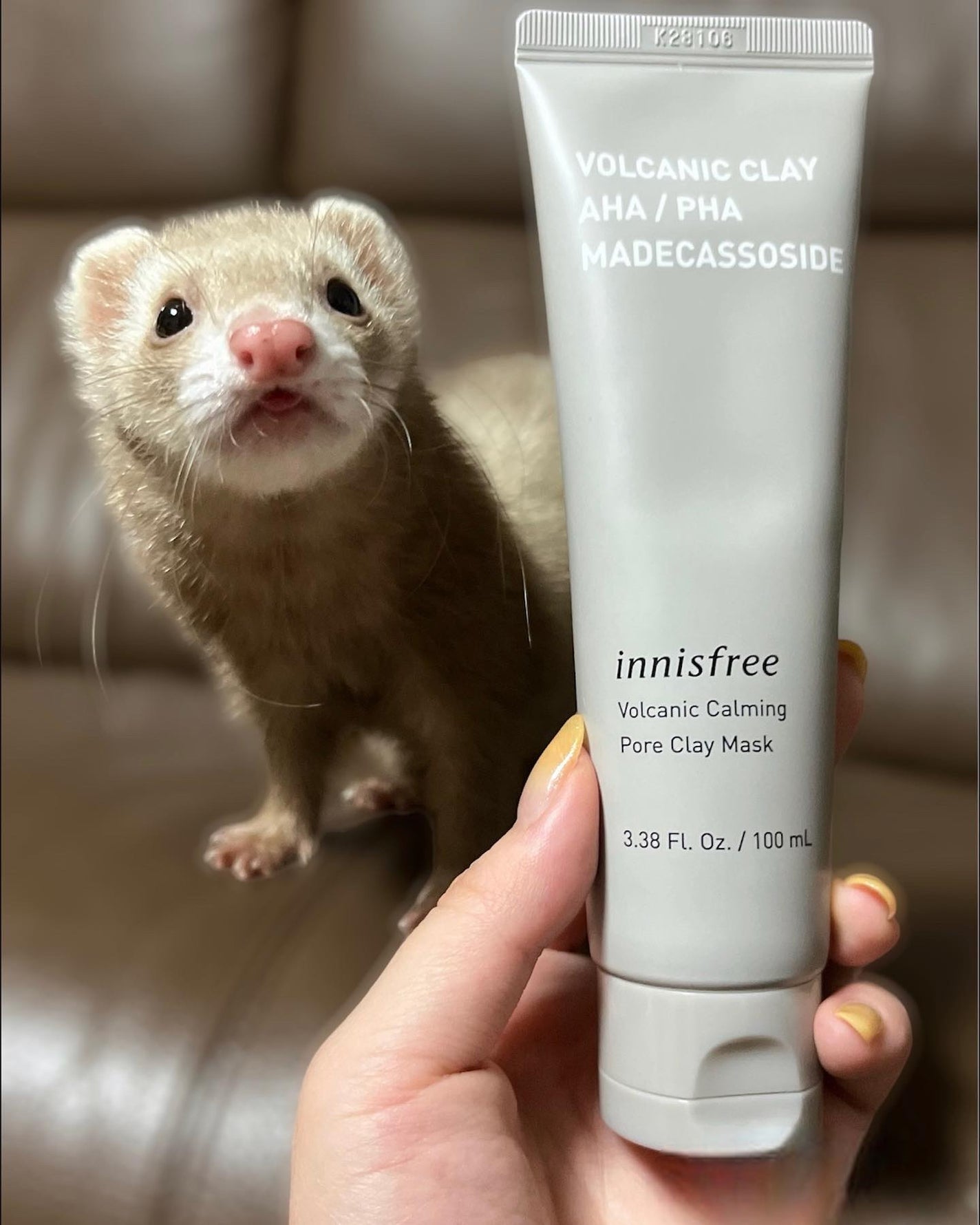 ヴォルカニック カーミング ポア クレイマスク/innisfree/洗い流すパック・マスクを使ったクチコミ(1枚目)