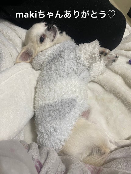 レ マン エルメス ヴェルニ エマイユ/エルメス/マニキュアを使ったクチコミ(7枚目)