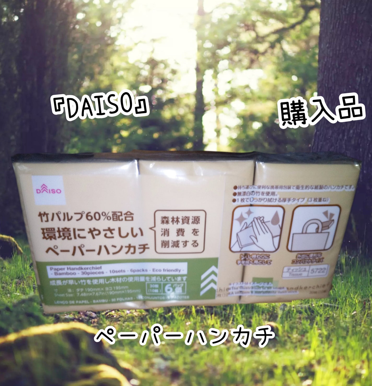 ペーパーハンカチ/DAISO/ティッシュを使ったクチコミ(1枚目)