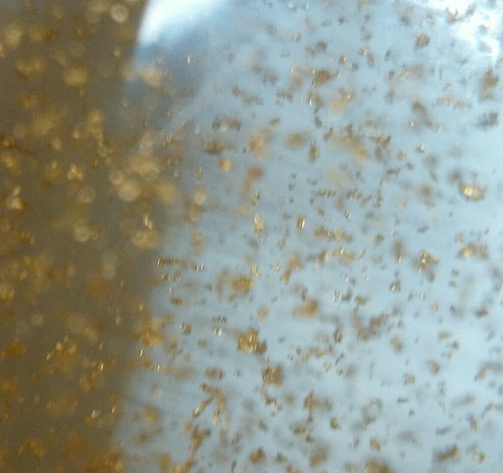 リアルスキンモイスチャーベース/Witch's Pouch/化粧下地を使ったクチコミ（2枚目）