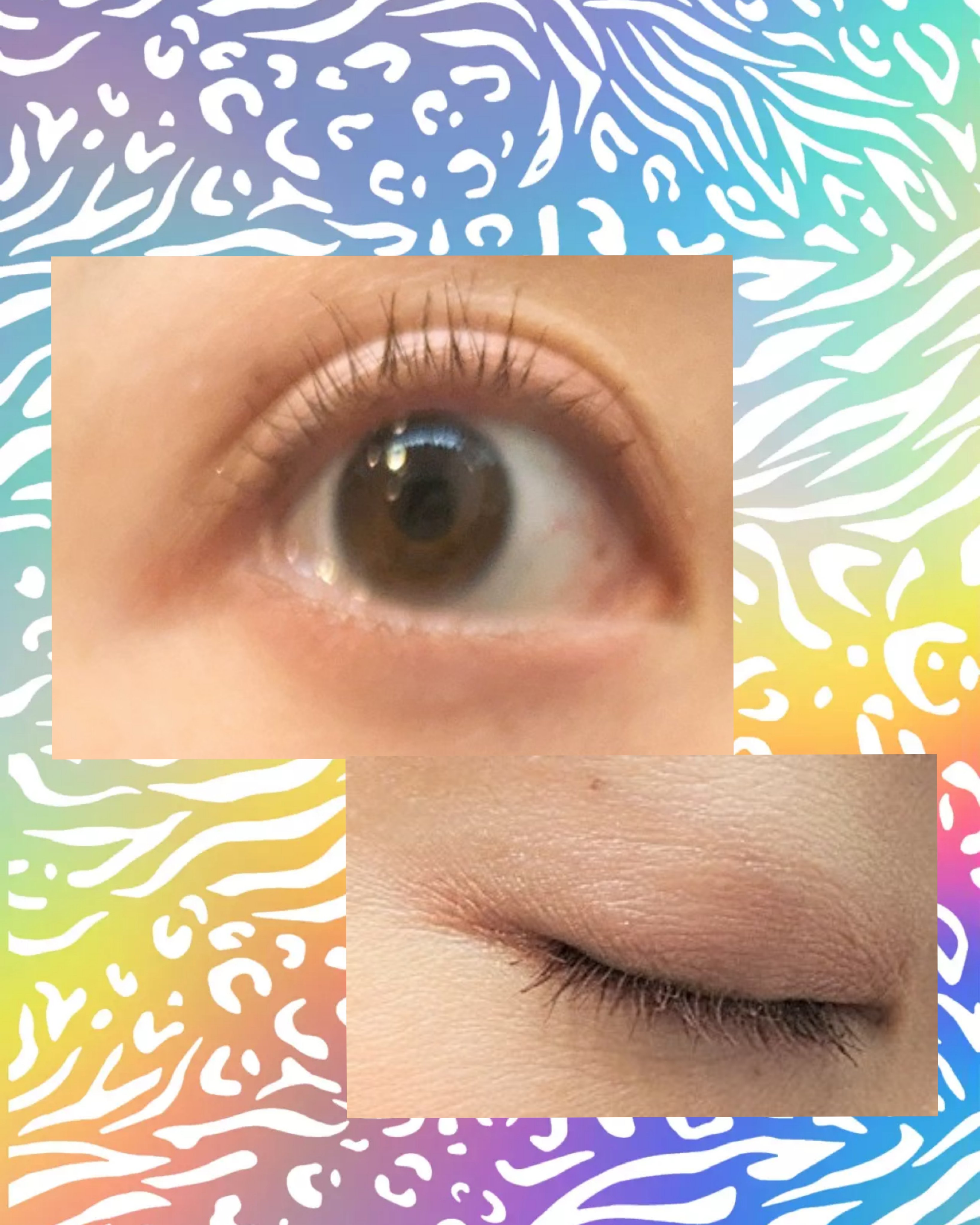 パーフェクトエクステンション マスカラ for カール ルビーブラウン/D-UP/マスカラを使ったクチコミ（3枚目）