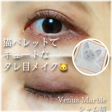 Venus Marble アイシャドウキャットシリーズ/Venus Marble/パウダーアイシャドウを使ったクチコミ（1枚目）