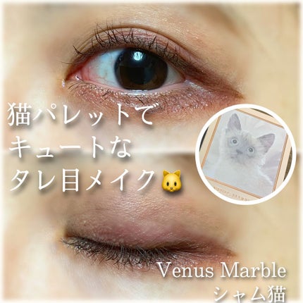 Venus Marble アイシャドウキャットシリーズ/Venus Marble/アイシャドウパレットを使ったクチコミ(1枚目)