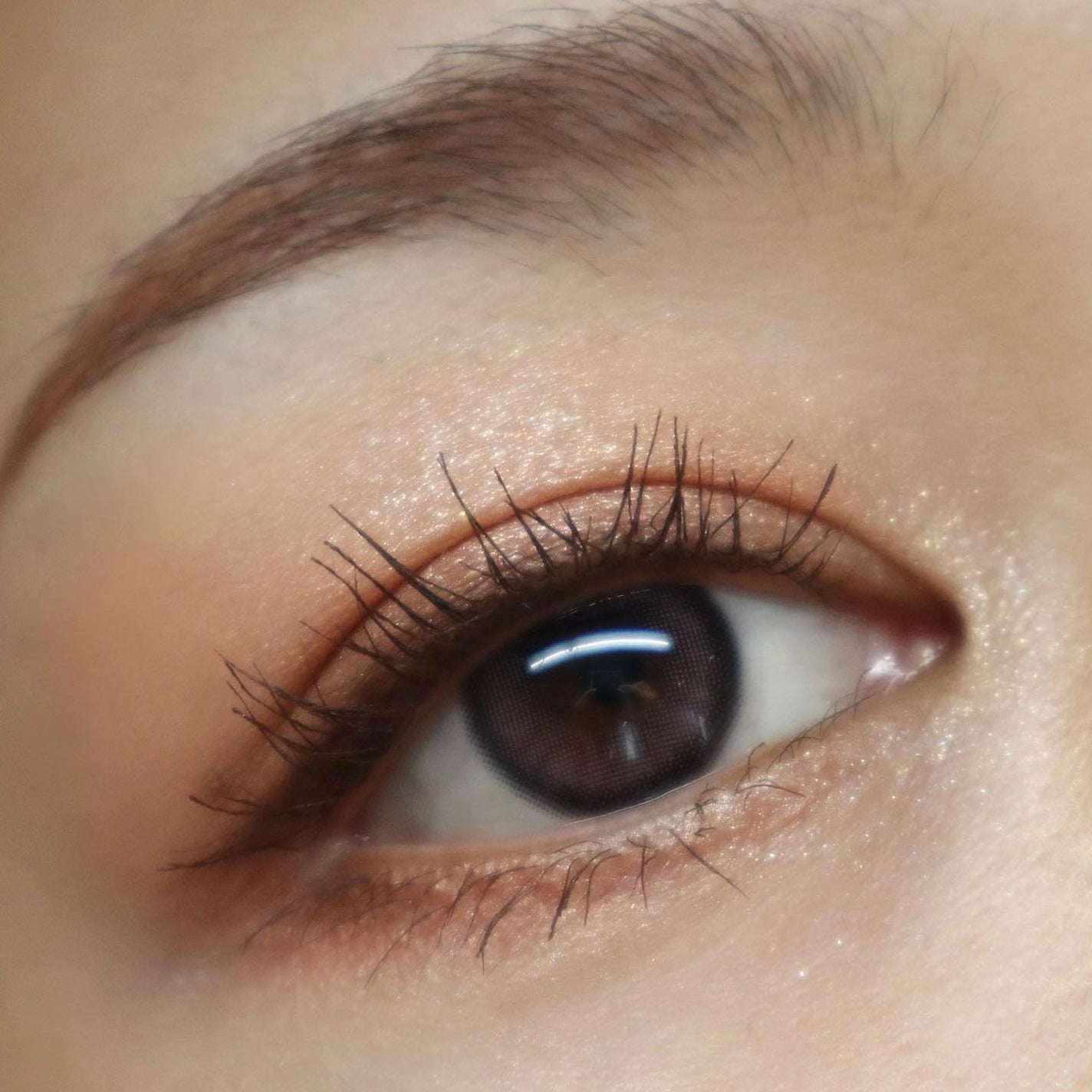 レ ベージュ パレット ルガール/CHANEL/アイシャドウパレットを使ったクチコミ(4枚目)