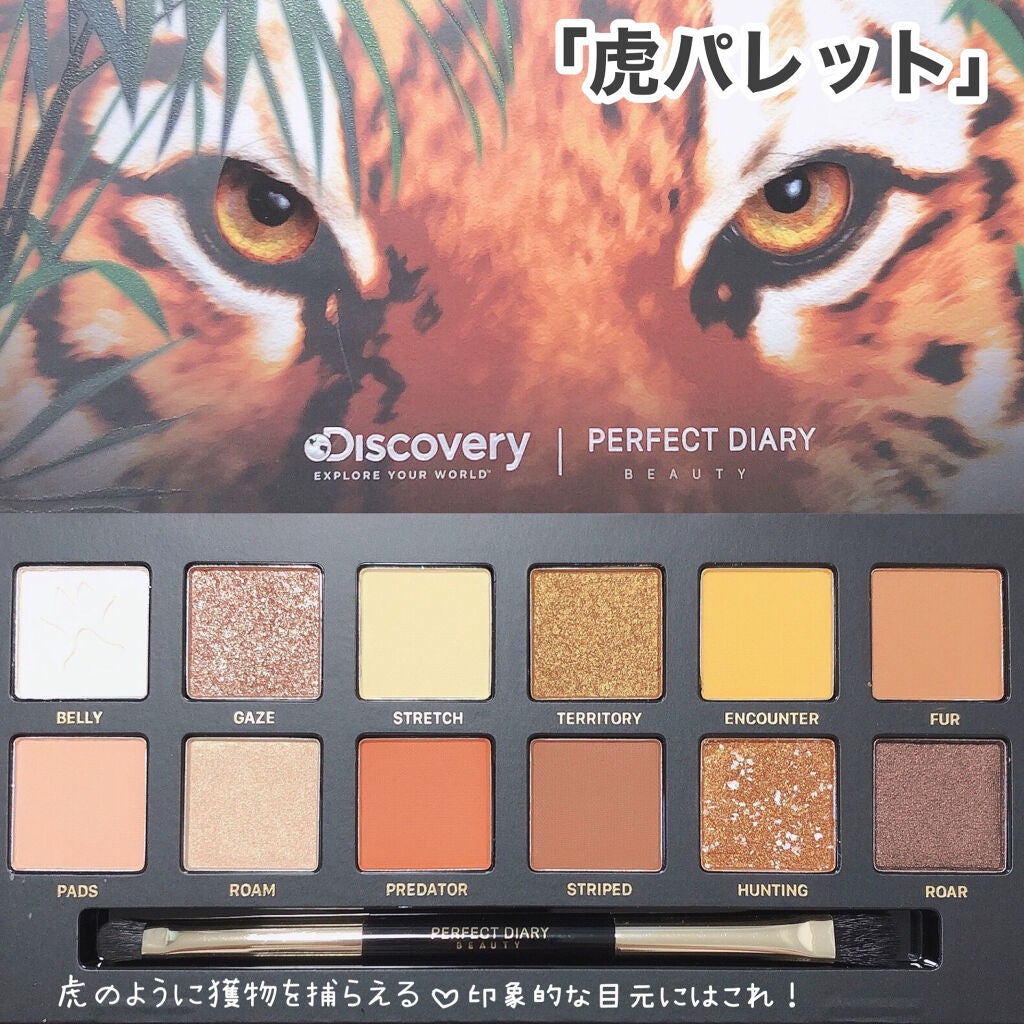 エクスプローラ12色 動物アイシャドウパレット/PERFECT DIARY/アイシャドウパレットを使ったクチコミ(5枚目)