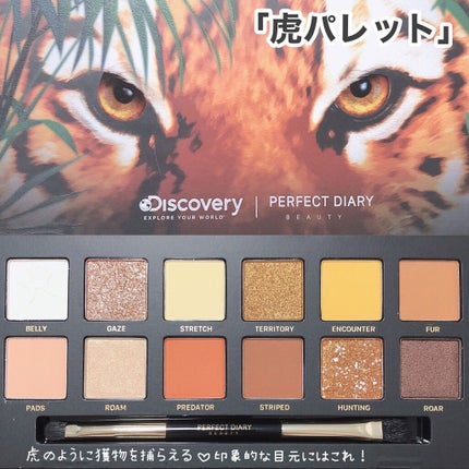 エクスプローラ12色 動物アイシャドウパレット/PERFECT DIARY/アイシャドウパレットを使ったクチコミ(5枚目)