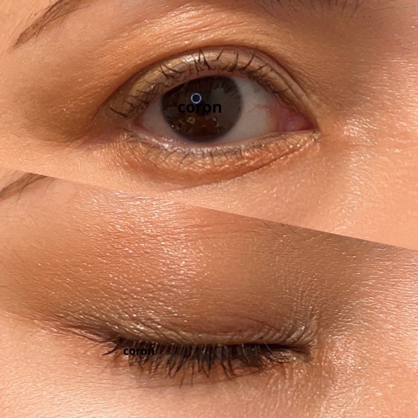 モイスチャー リッチ リップスティック/SUQQU/口紅を使ったクチコミ(2枚目)