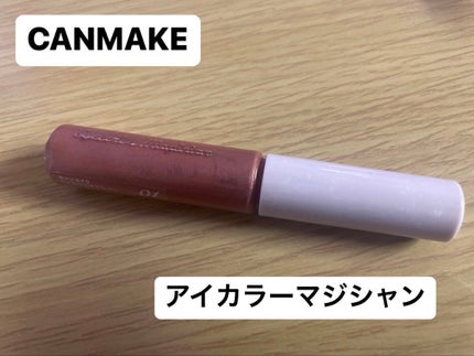 アイカラーマジシャン/キャンメイク/アイシャドウを使ったクチコミ(1枚目)