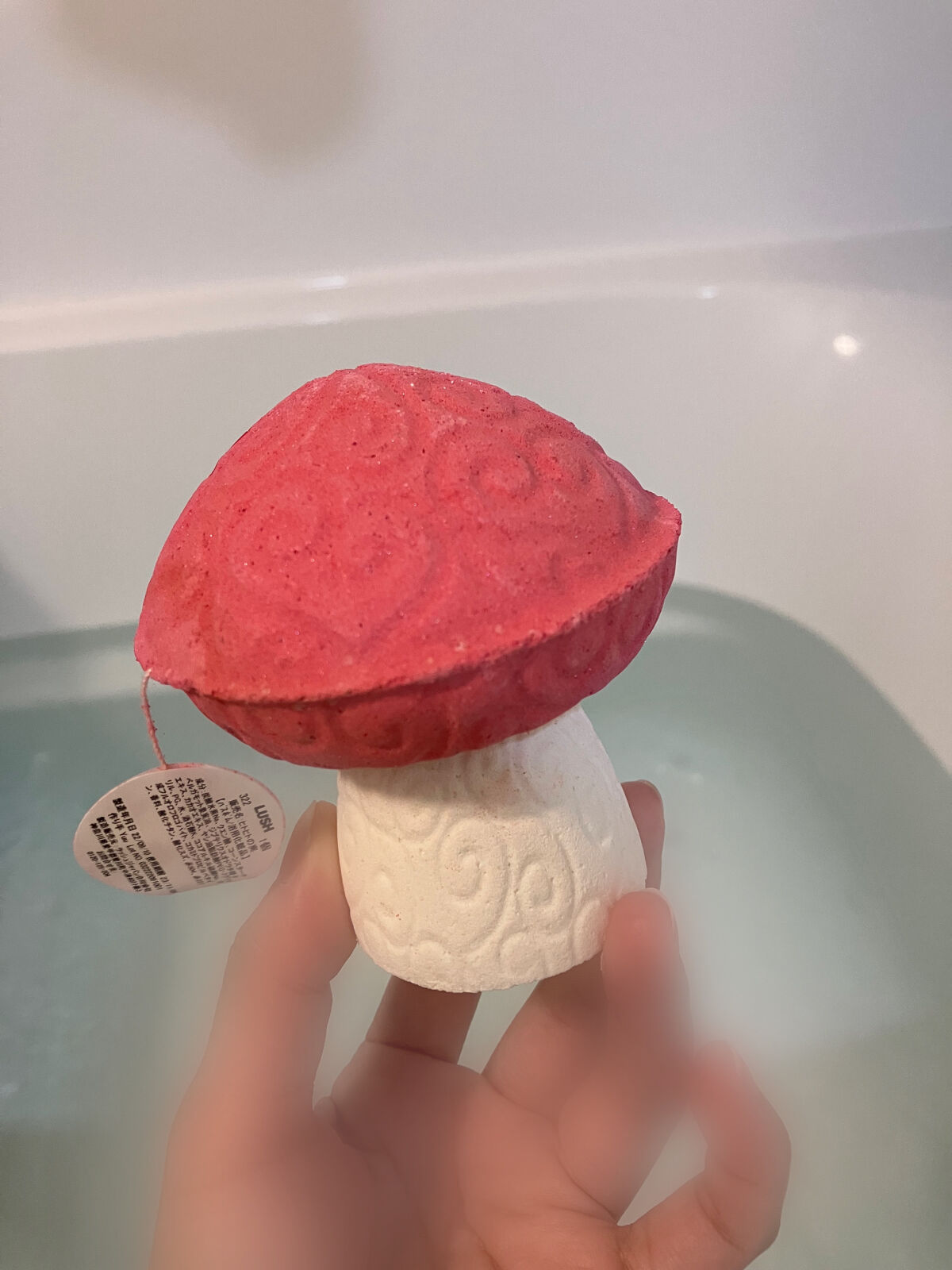 を使ったクチコミ（2枚目）