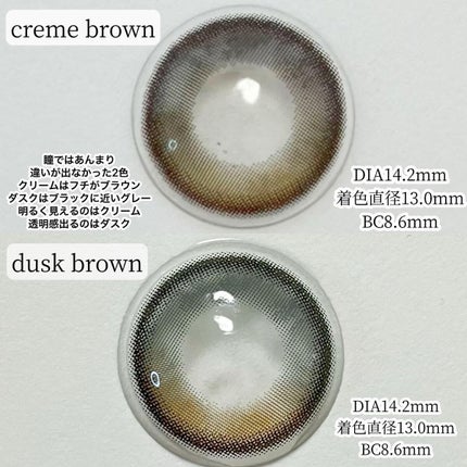 Secretive Kristen 1day/Hapa kristin/ワンデー(1DAY)カラコンを使ったクチコミ(8枚目)