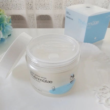 テルムレクリアパッド/STEAMBASE/トナーパッドを使ったクチコミ(4枚目)