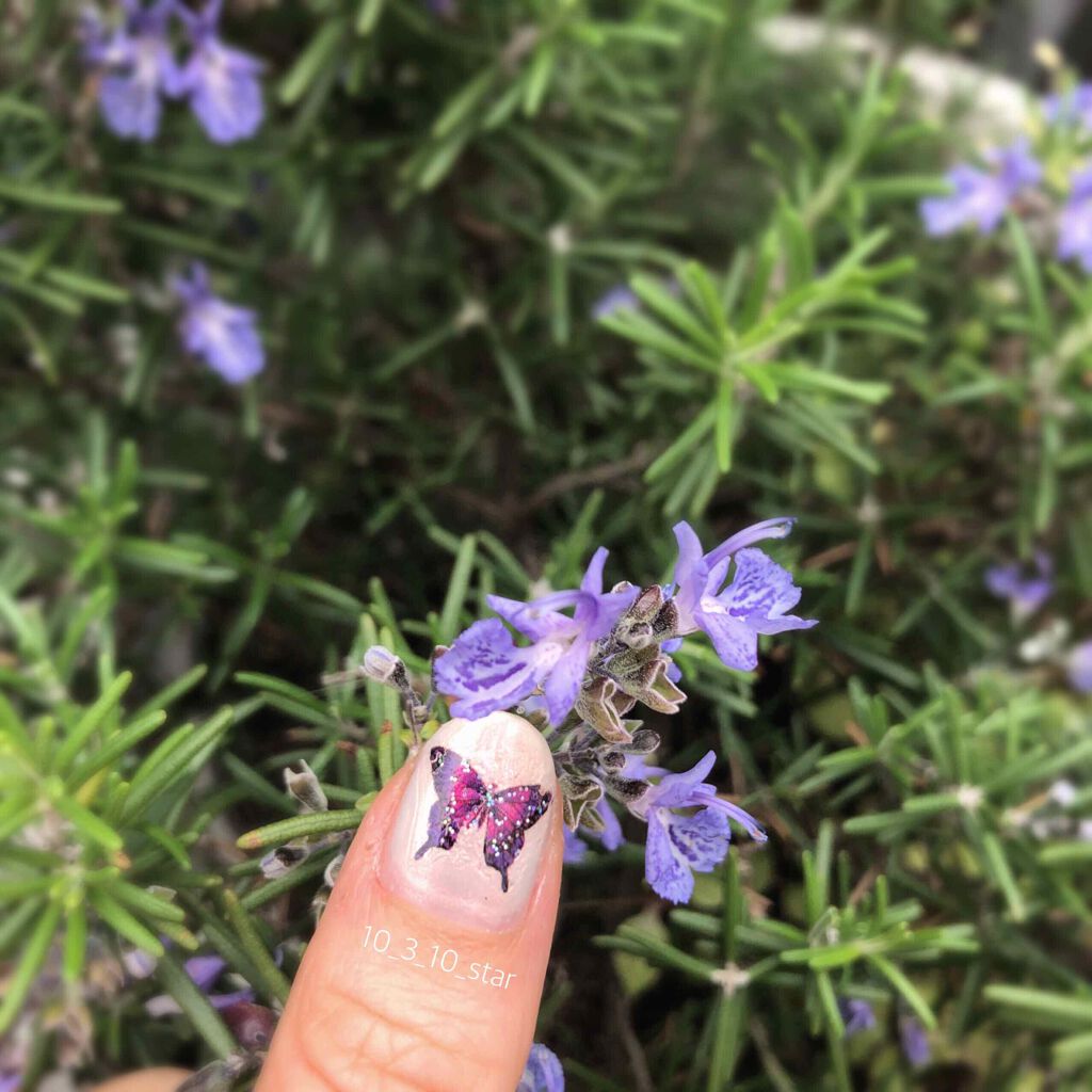 クイッククリスタルコート/ネイリスト/ネイルトップコートを使ったクチコミ(4枚目)