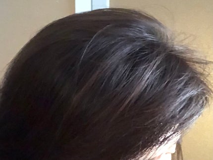 SQ アンチポリューションシャンプー/ShinkoQ/市販シャンプーを使ったクチコミ(5枚目)