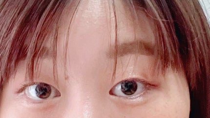 シルキースフレアイズ(マットタイプ)/キャンメイク/アイシャドウパレットを使ったクチコミ(2枚目)