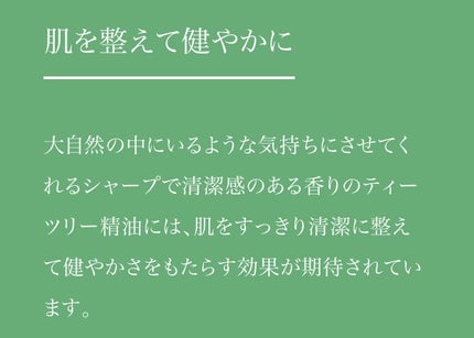 ルルルンオーガニック ティーツリー/ルルルン/シートマスク・パックを使ったクチコミ(6枚目)