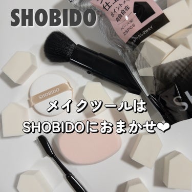 SHOBIDO パウダー&チークブラシ スライドタイプ