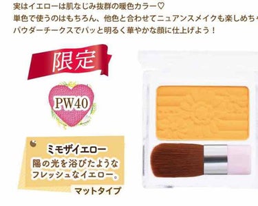 さえ on LIPS 「【予告！】キャンメイクの限定チーク購入しましたっっ！近いうちに..」（1枚目）