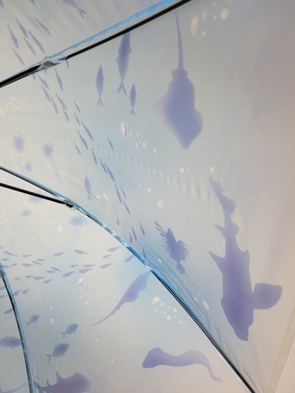 えのすい×Wpc. アンブレラ/Wpc./その他を使ったクチコミ(7枚目)