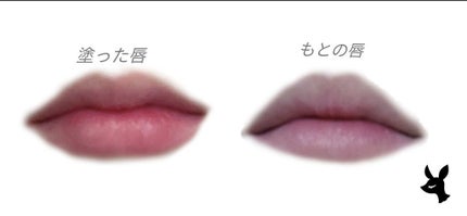 WHY NOT SPINNS リップティント/DAISO/リップティントを使ったクチコミ(2枚目)