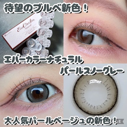 エバーカラーワンデー ナチュラル/エバーカラー/ワンデー(1DAY)カラコンを使ったクチコミ(1枚目)