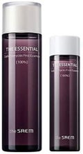 The Essential Galactomyces First Essence / the SAEM