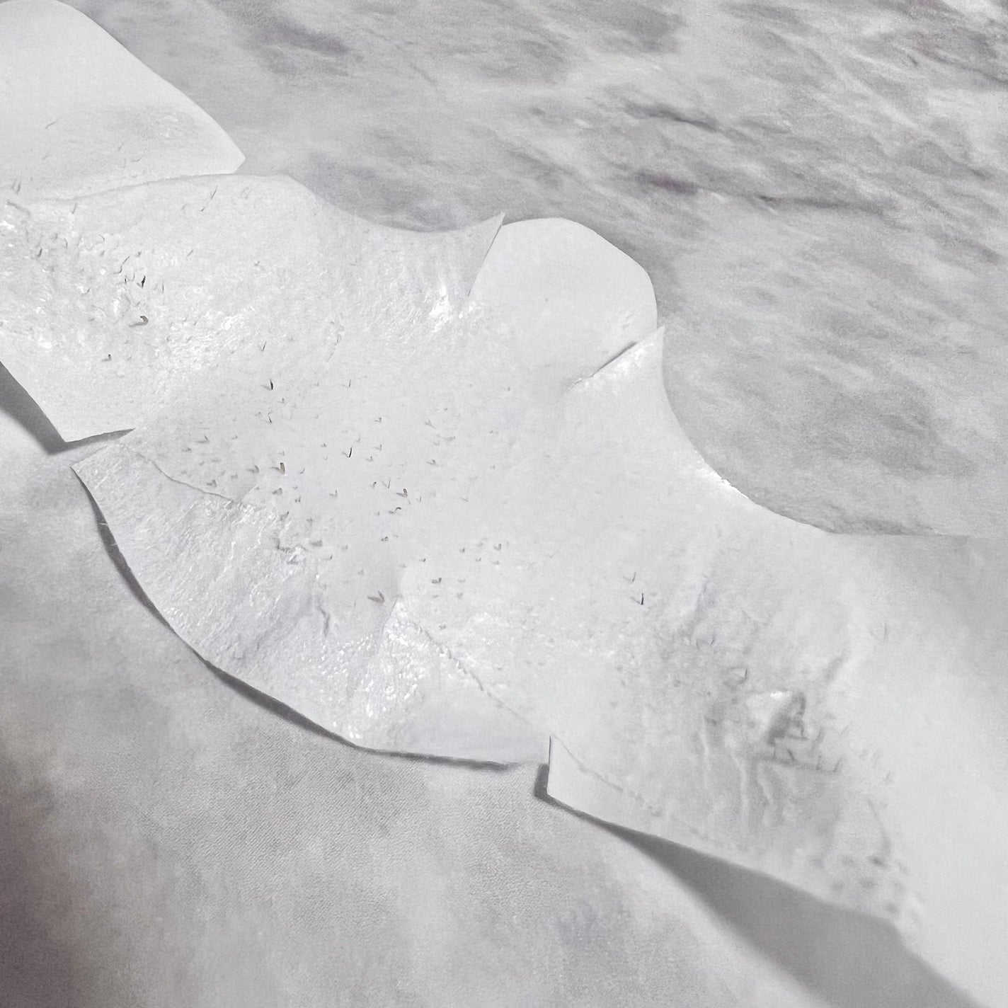 毛穴モップ (3STEP NOSE PACK)/YAMMY’S TOY/洗い流すパック・マスクを使ったクチコミ(6枚目)