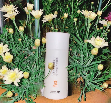 植物から生まれたミツバチUVミルク/アピセラピーコスメティクス/日焼け止めミルクを使ったクチコミ(1枚目)