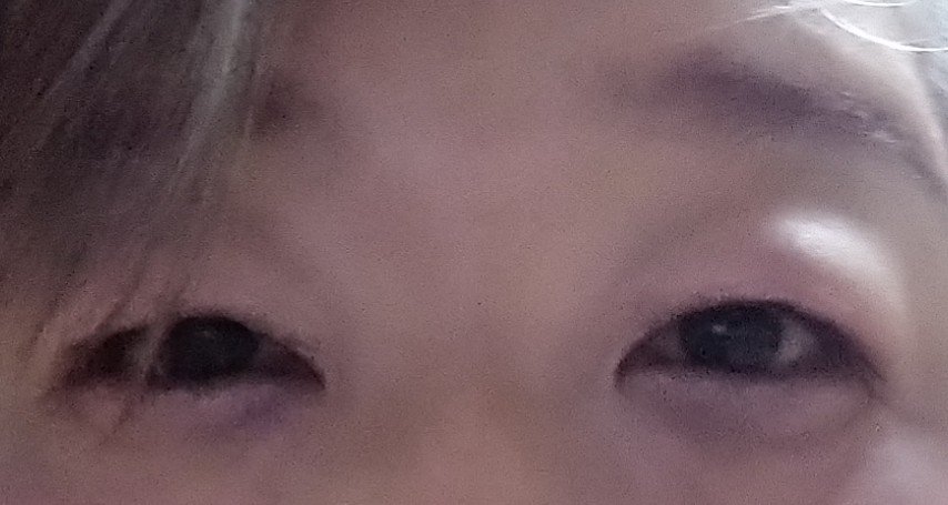 クリスマスコレクション/Ririmew/メイクアップキットを使ったクチコミ（2枚目）