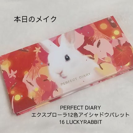 エクスプローラ12色 動物アイシャドウパレット/PERFECT DIARY/アイシャドウパレットを使ったクチコミ(1枚目)